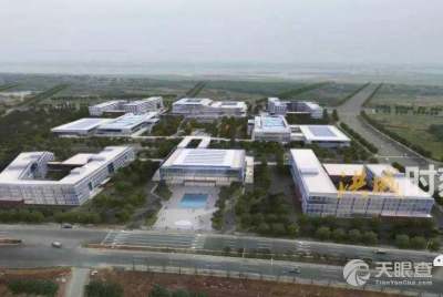 教育部科技發(fā)展中心 驅(qū)動高?？萍汲晒D(zhuǎn)化的“技術(shù)開發(fā)”引擎